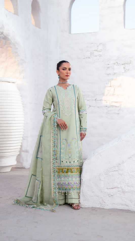 ZA-05 | Anaya Lawn